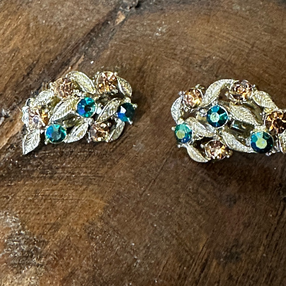 Fruit Salad Clip On Earrings